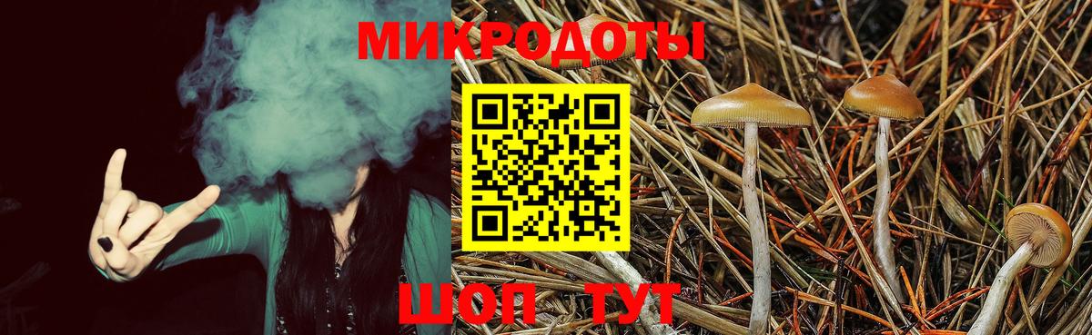 Галлюциногенные грибы GOLDEN TEACHER Дзержинский